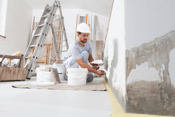 Forensic Mold Investigation in Tracy, MN