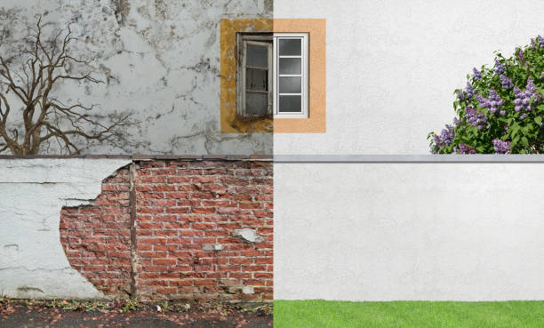 Best Commercial Mold Inspection  in Tracy, MN