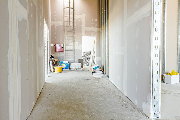 Best Air Quality Testing for Mold Spores  in Tracy, MN